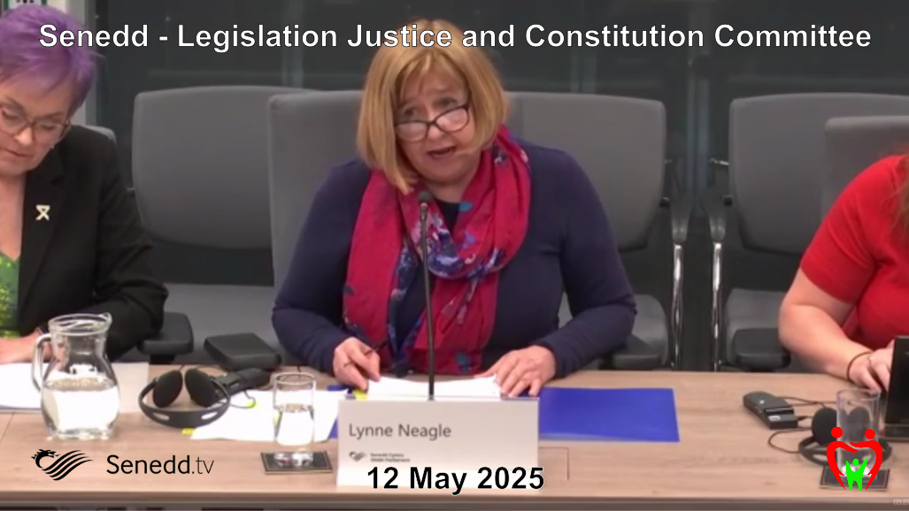Legislation Justice and Constitution Committee Seek Clarity about Westminster Bill